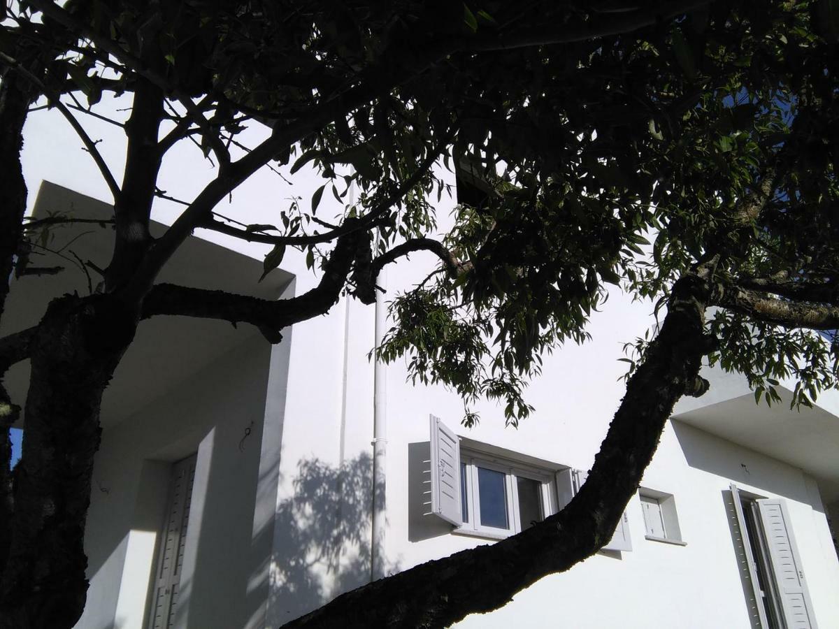 شقة مورتا ماريا  في Residenza Le Maree المظهر الخارجي الصورة